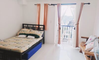 Transients near Minesview park also knows as gibraltar